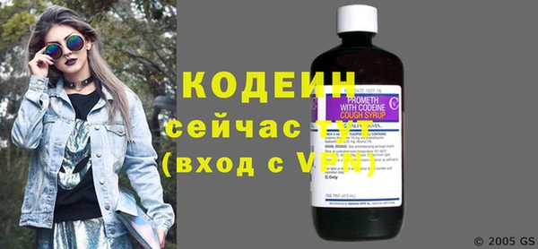 индика Беломорск