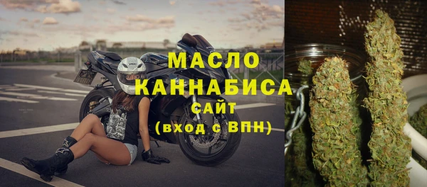 индика Беломорск