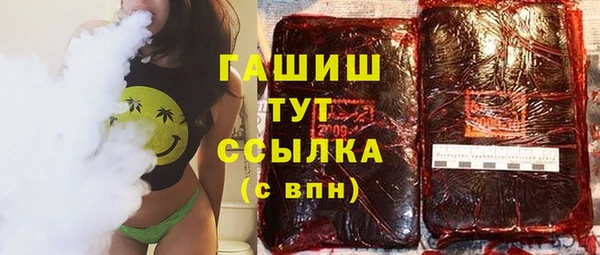 индика Беломорск