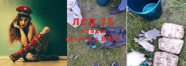 индика Беломорск